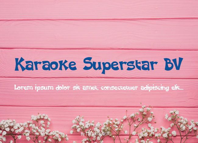 Karaoke Superstar BV example